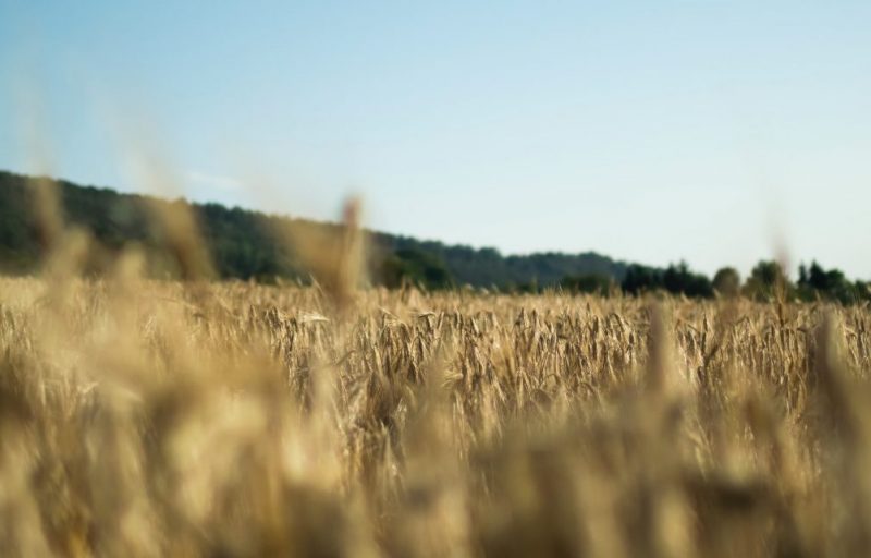 simon-caminada-H58QiUp6Ees-unsplash
